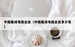 中国集成电路企业（中国集成电路企业多少家）