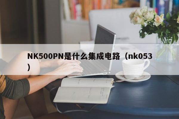 NK500PN是什么集成电路（nk053）-第1张图片-bevictor伟德官方网站-欢迎您