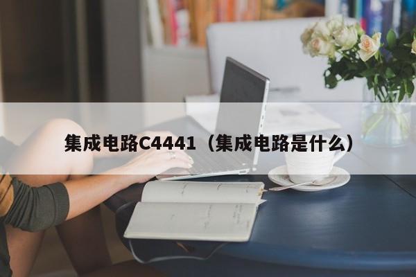 集成电路C4441（集成电路是什么）-第1张图片-bevictor伟德官方网站-欢迎您