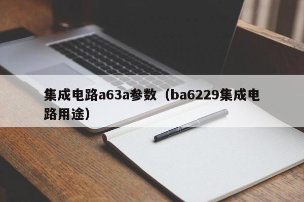 集成电路a63a参数（ba6229集成电路用途）-第1张图片-bevictor伟德官方网站-欢迎您